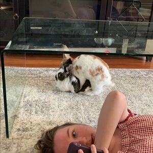 Meet your Posher, Daralyn